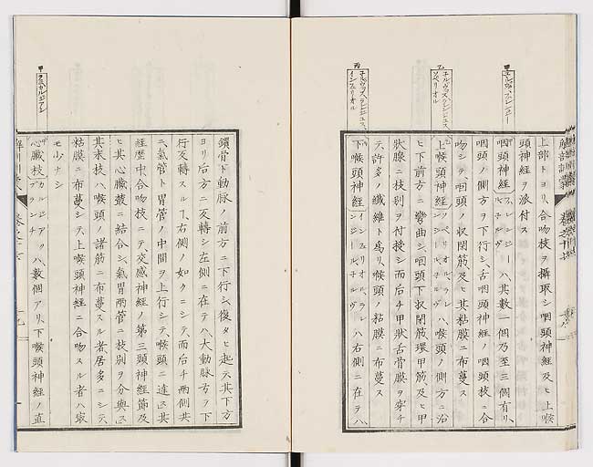 K0021s0569