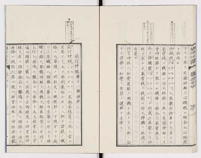 K0021s0570