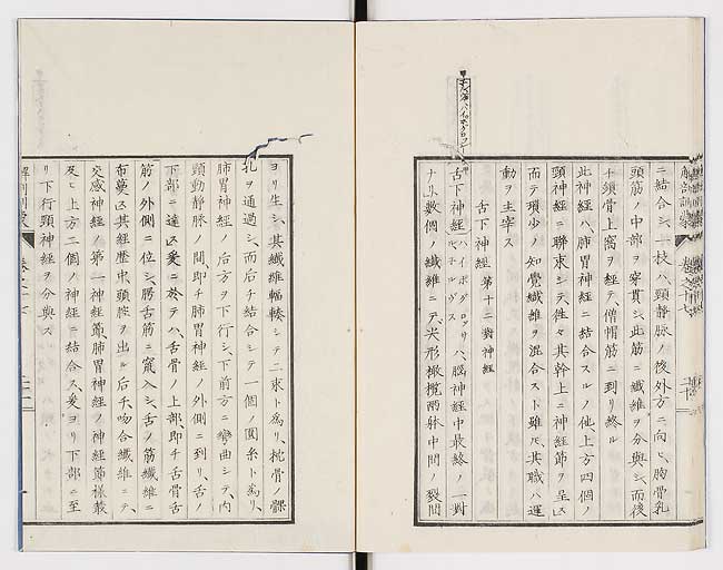 K0021s0571