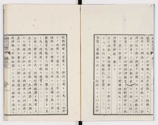 K0021s0576