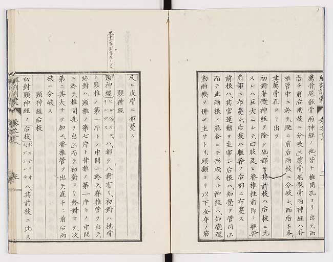 K0021s0577