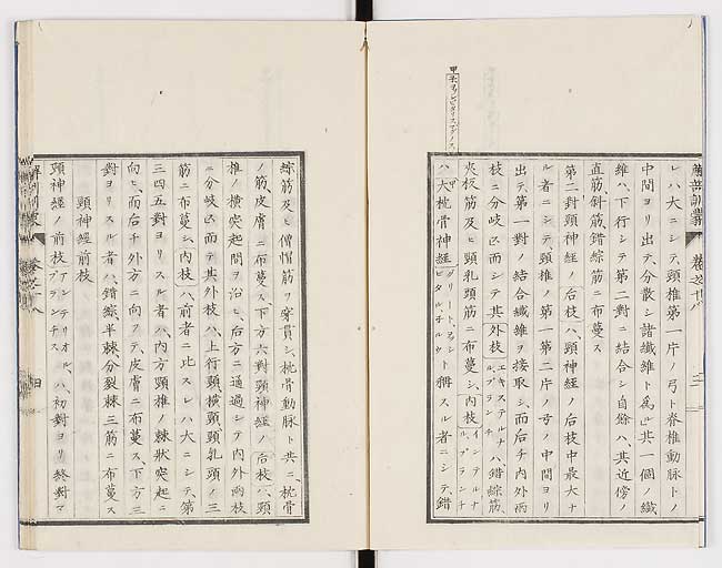 K0021s0578
