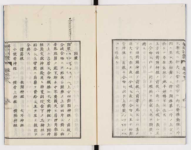 K0021s0579