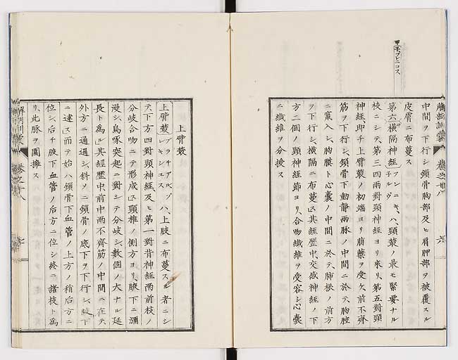 K0021s0581