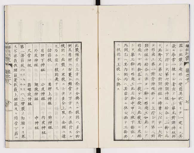 K0021s0582