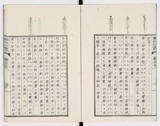 K0021s0583