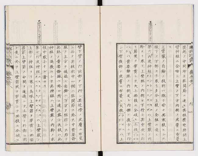 K0021s0584