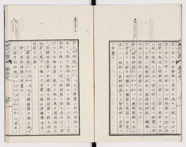 K0021s0585