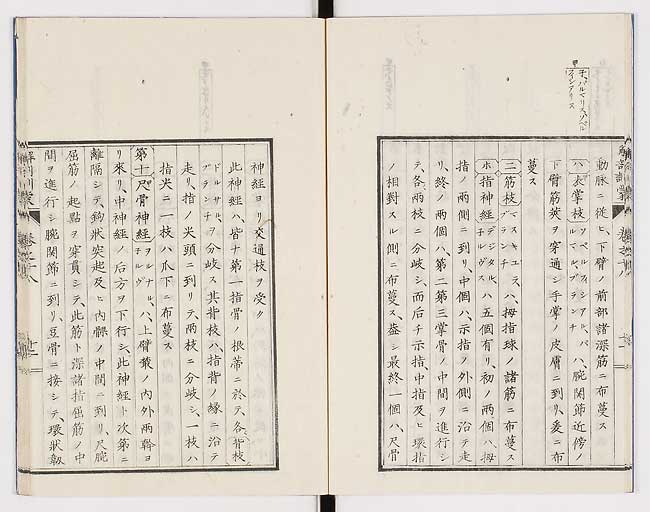 K0021s0586