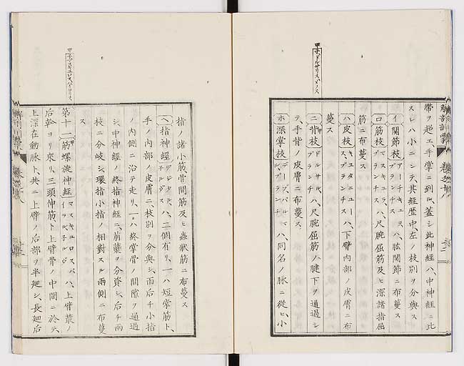 K0021s0587