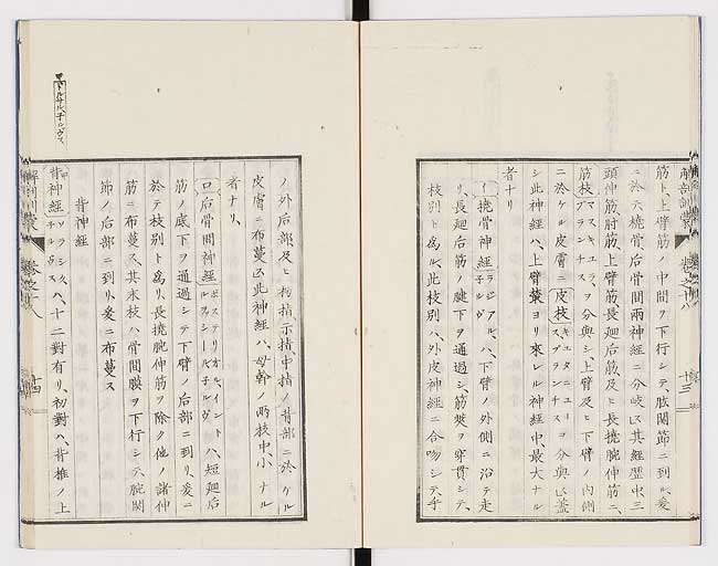 K0021s0588