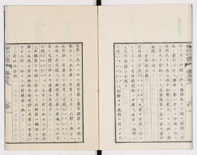 K0021s0589
