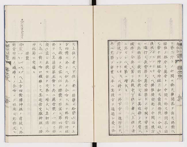 K0021s0592