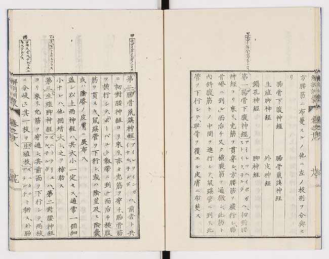 K0021s0593