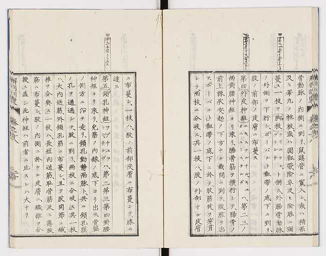 K0021s0594