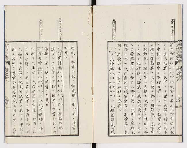 K0021s0595