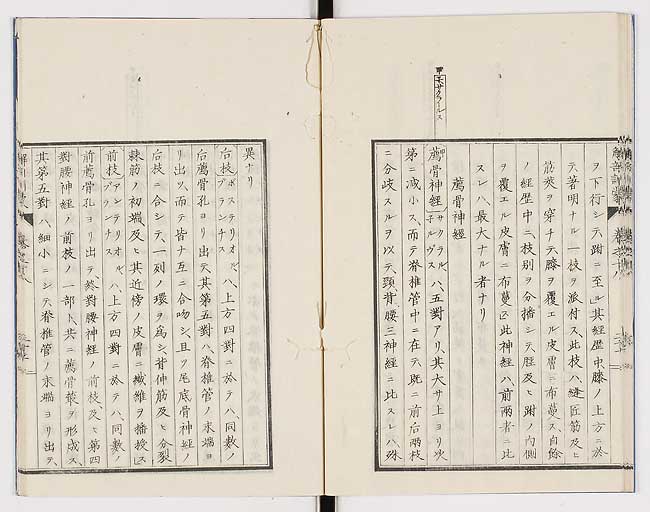 K0021s0596