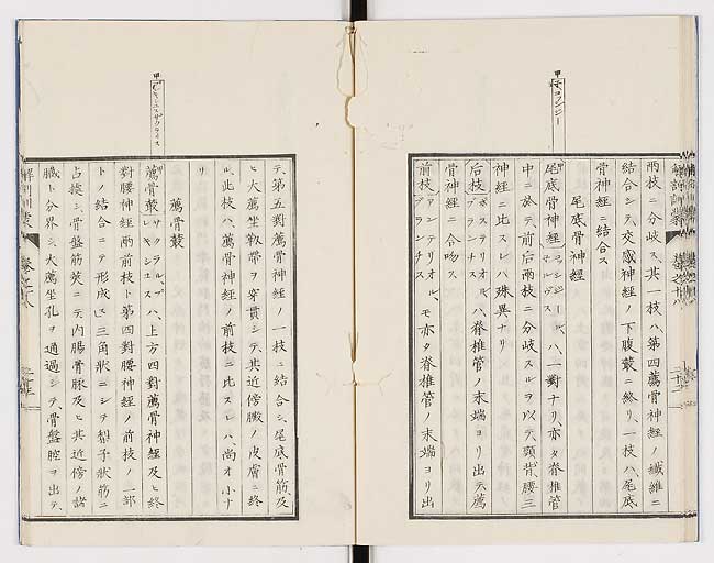 K0021s0597