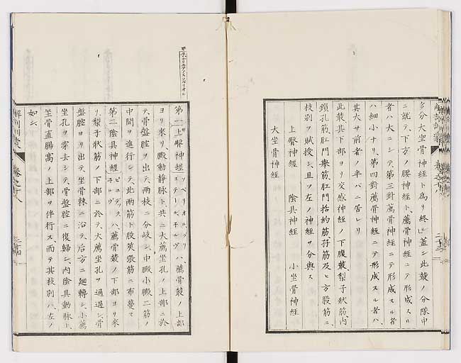 K0021s0598
