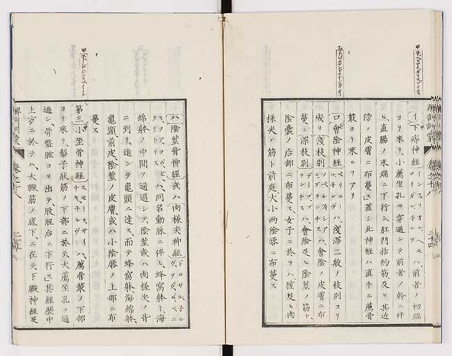 K0021s0599
