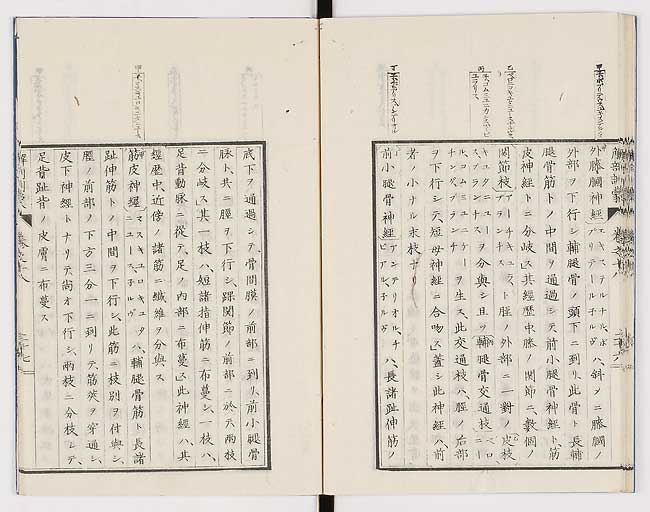 K0021s0601