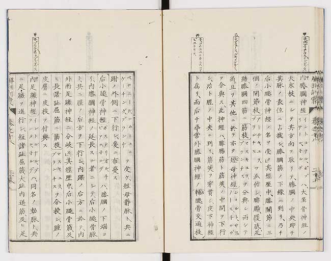 K0021s0602
