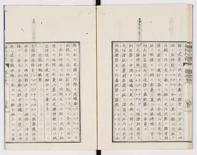 K0021s0603