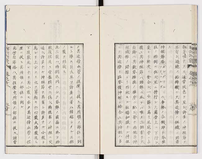 K0021s0604