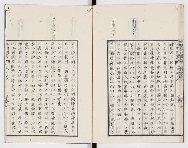 K0021s0606