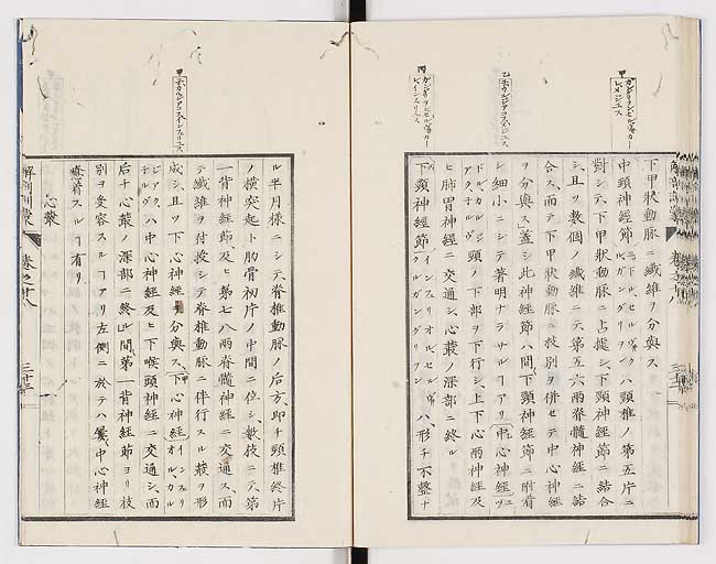 K0021s0607