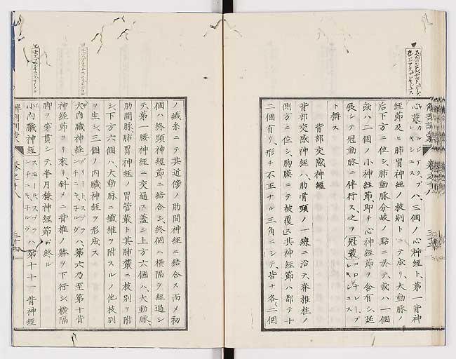 K0021s0608