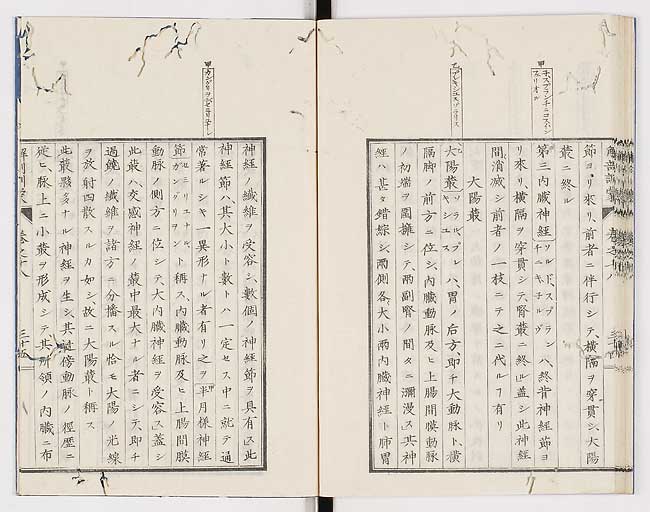 K0021s0609