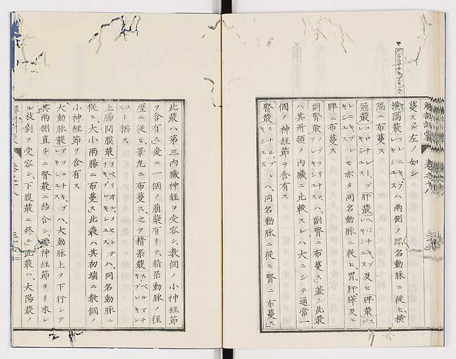 K0021s0610