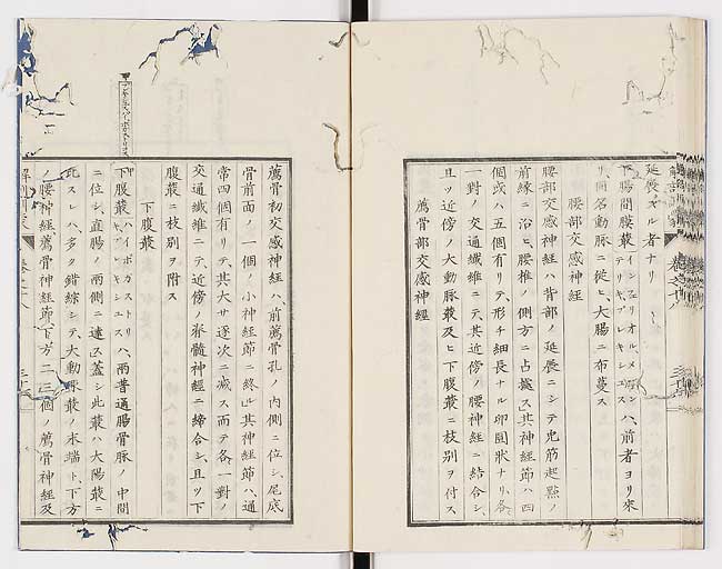 K0021s0611