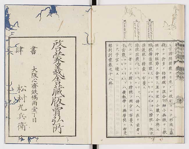 K0021s0612