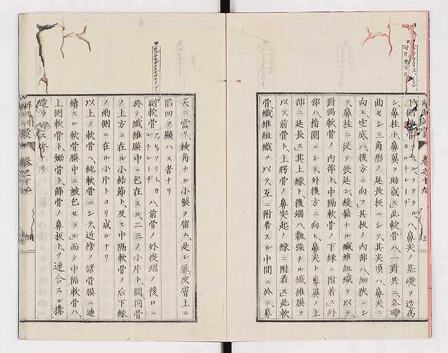 K0021s0618