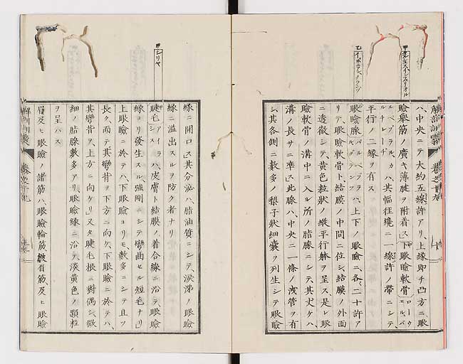 K0021s0625