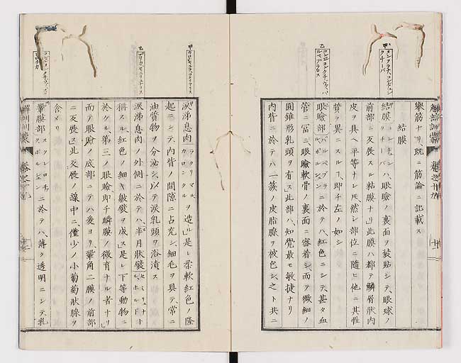K0021s0626