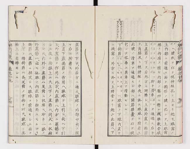 K0021s0631