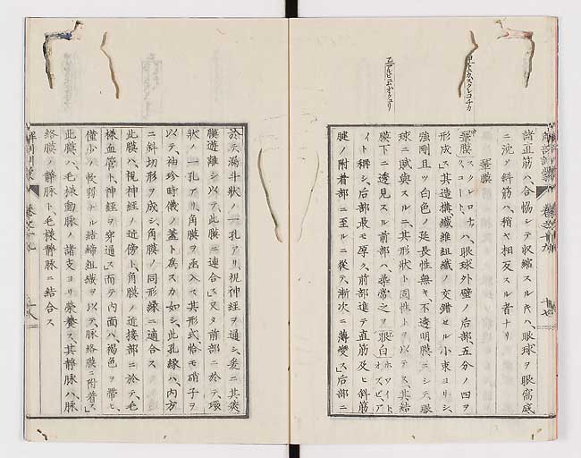 K0021s0632
