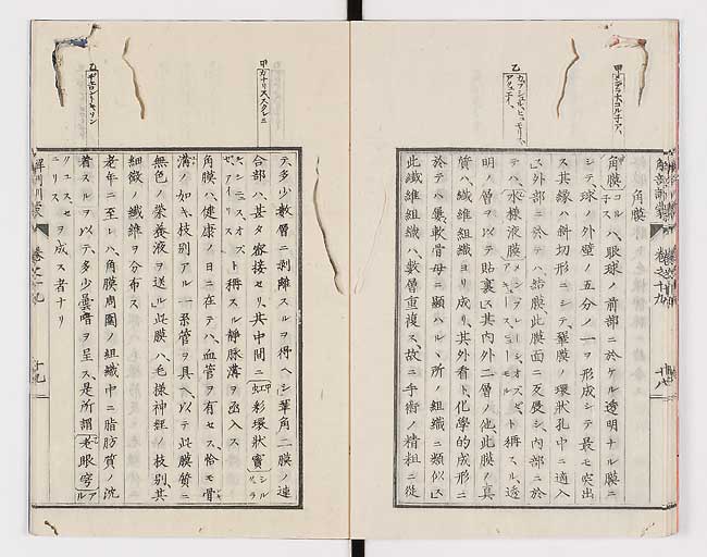 K0021s0633