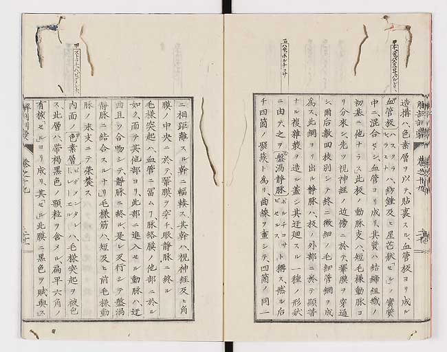 K0021s0635