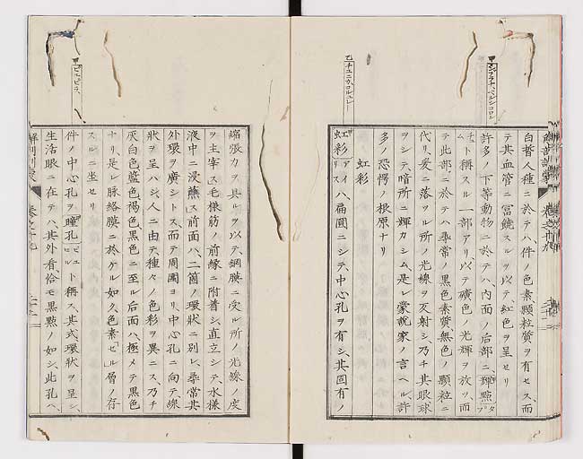 K0021s0636