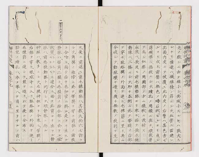 K0021s0637