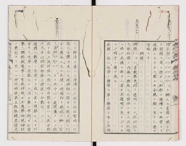 K0021s0638