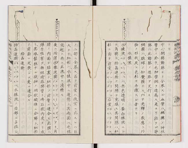 K0021s0639