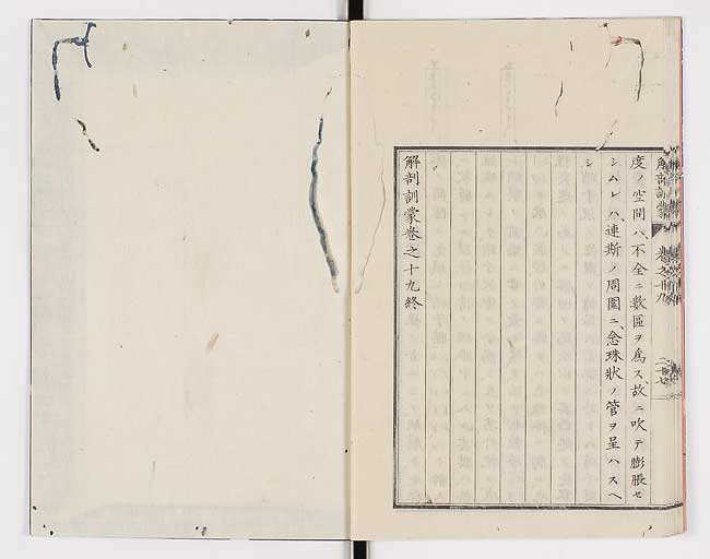 K0021s0642