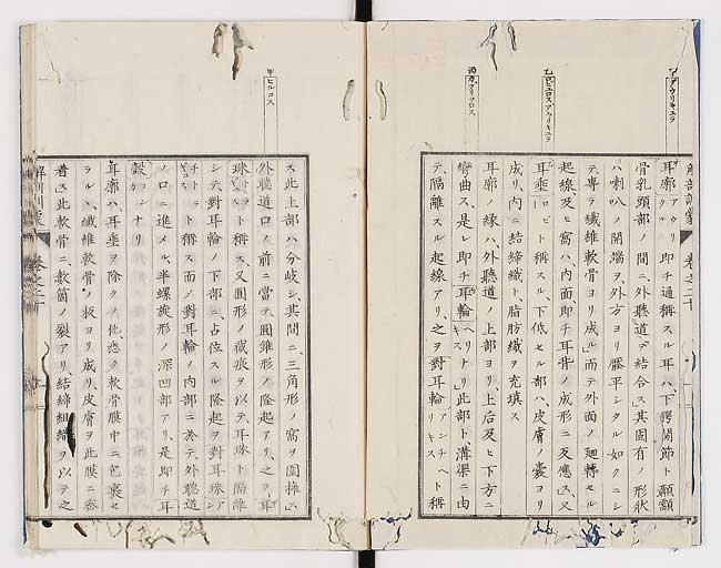 K0021s0646