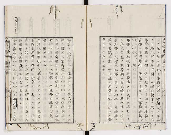 K0021s0647