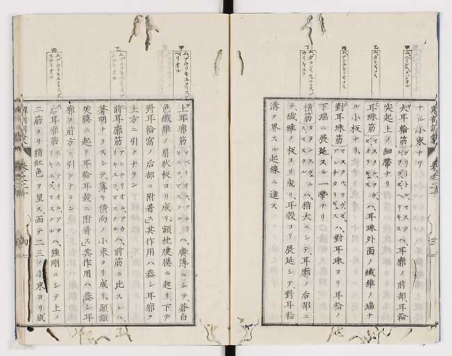 K0021s0648